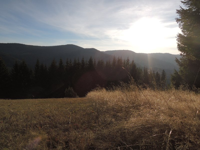 dscn9079.jpg