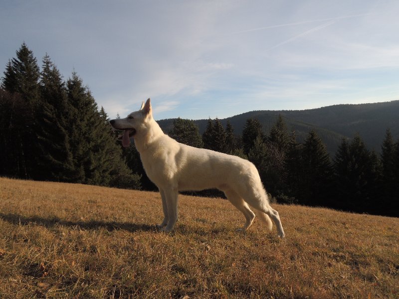dscn9081.jpg