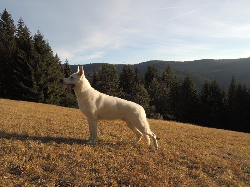 dscn9089.jpg