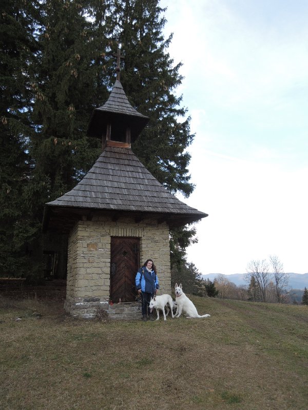 dscn9096.jpg
