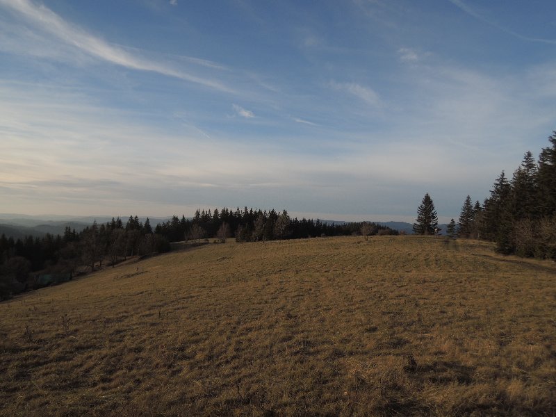 dscn9101.jpg