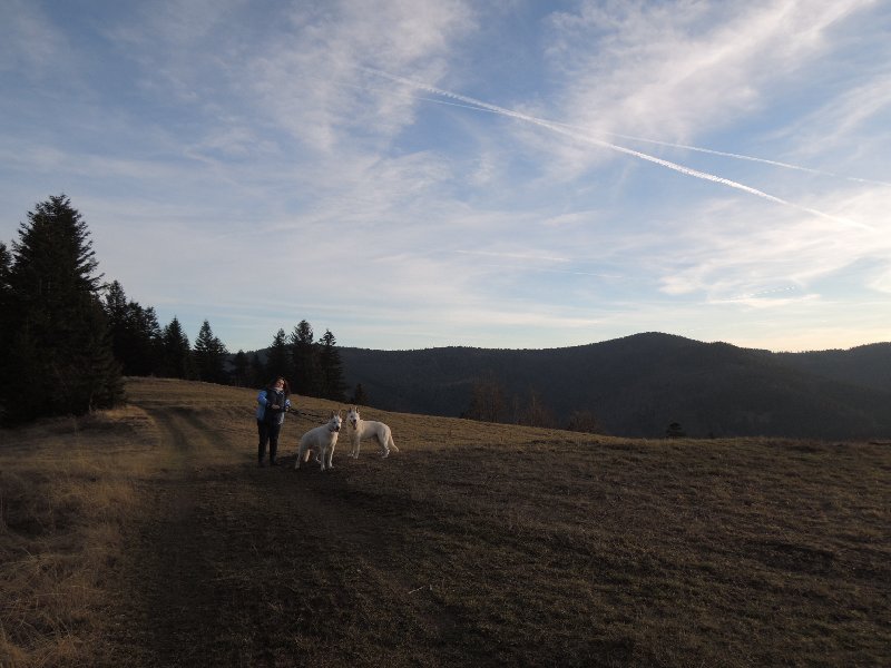 dscn9127.jpg