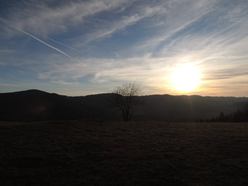 dscn9131.jpg