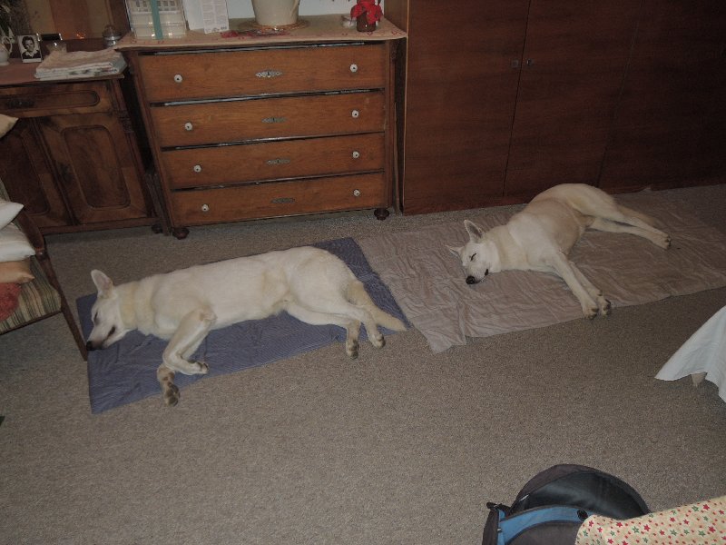 dscn9135.jpg