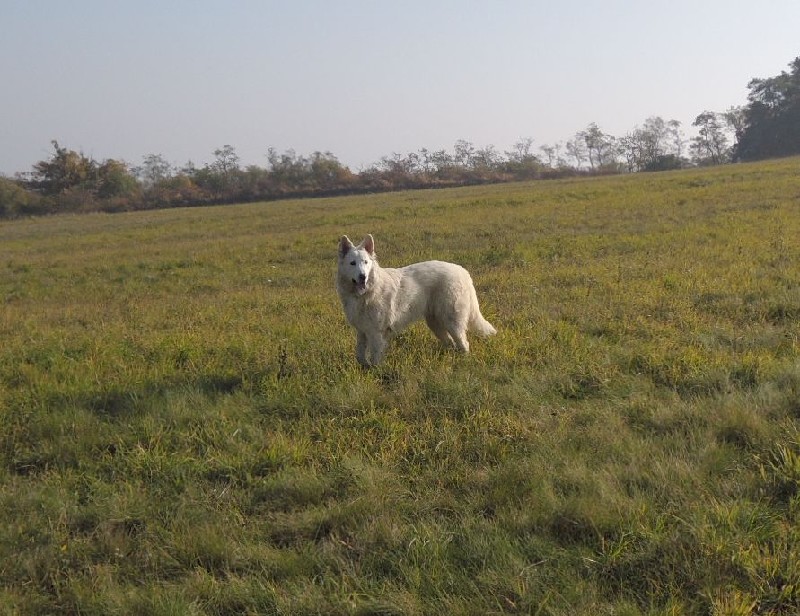 dscn8575.jpg