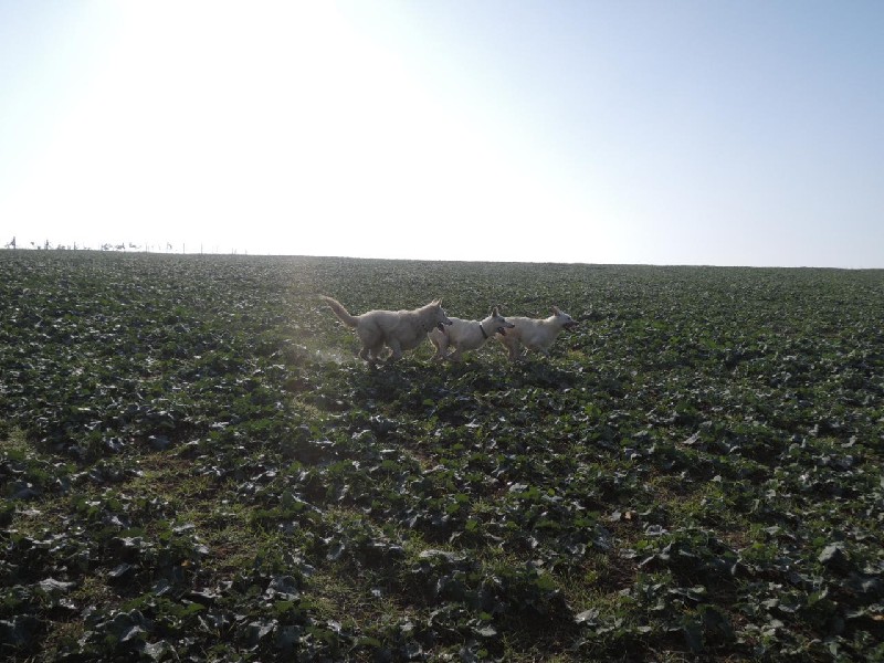 dscn8596.jpg
