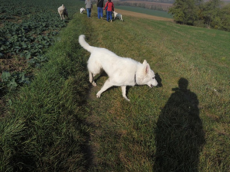 dscn8611.jpg