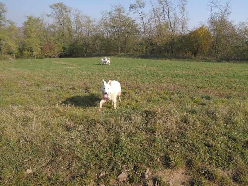 dscn8612.jpg
