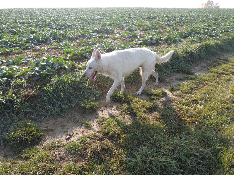 dscn8616.jpg