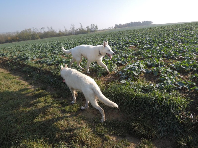 dscn8617.jpg