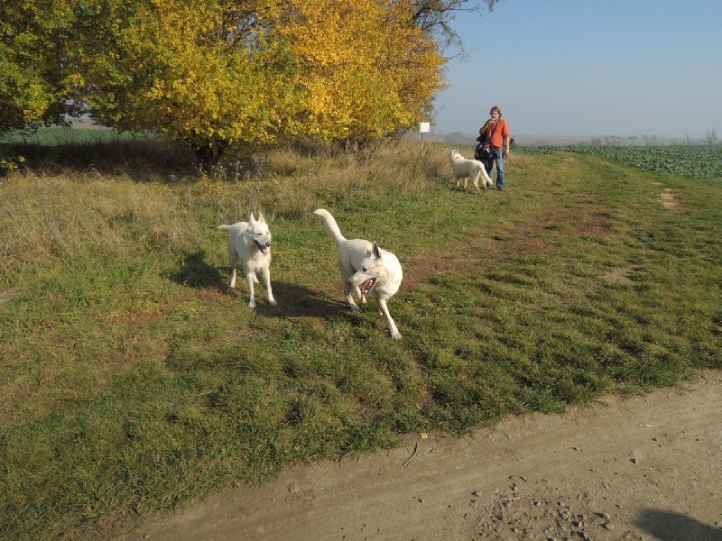 dscn8626.jpg