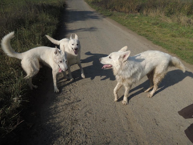 dscn8628.jpg