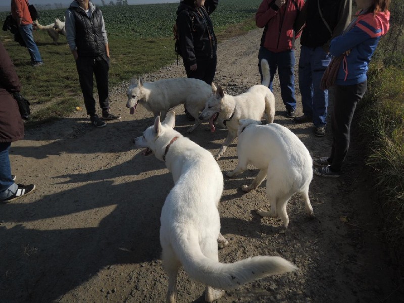 dscn8629.jpg
