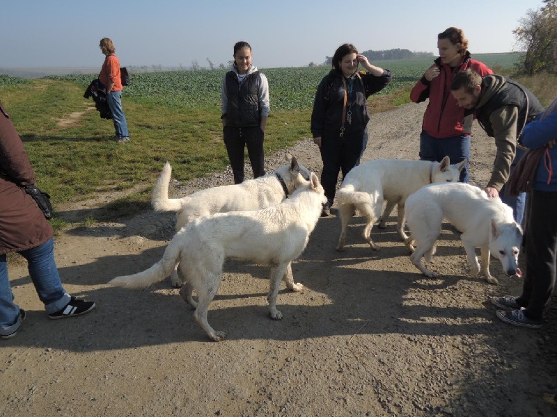 dscn8631.jpg