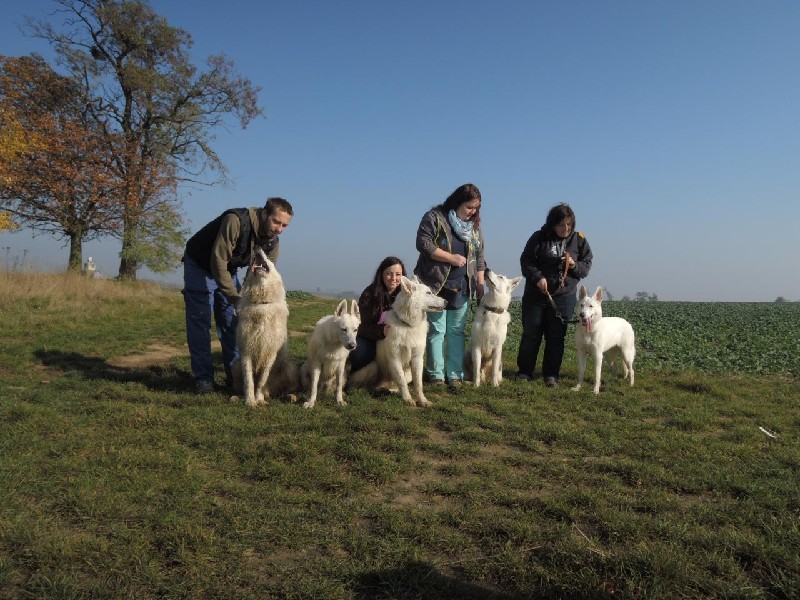 dscn8638.jpg
