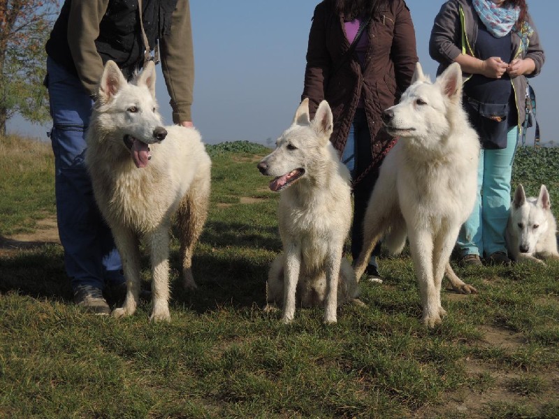 dscn8651.jpg
