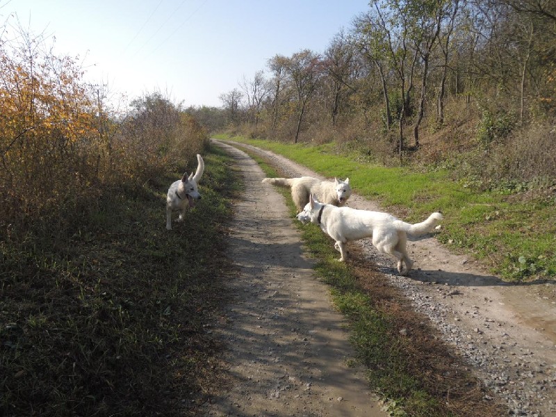dscn8675.jpg