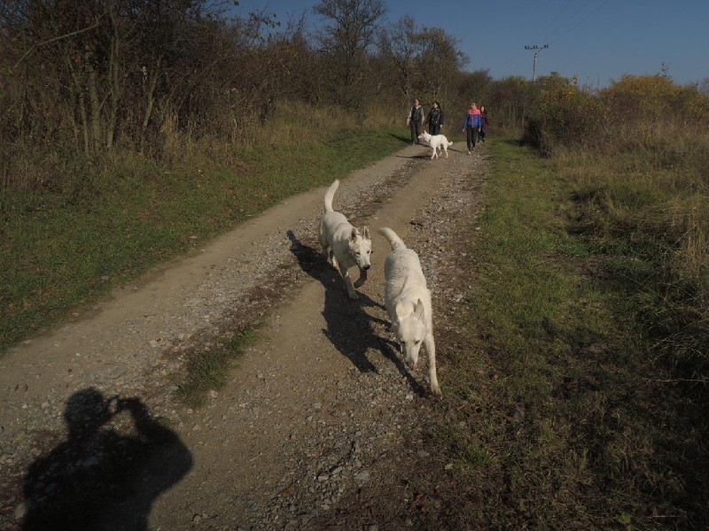 dscn8676.jpg