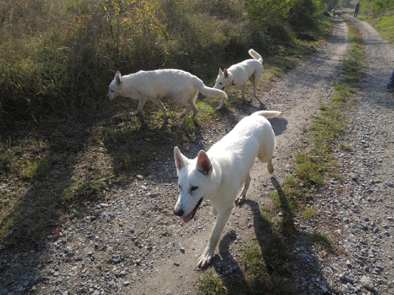 dscn8677.jpg