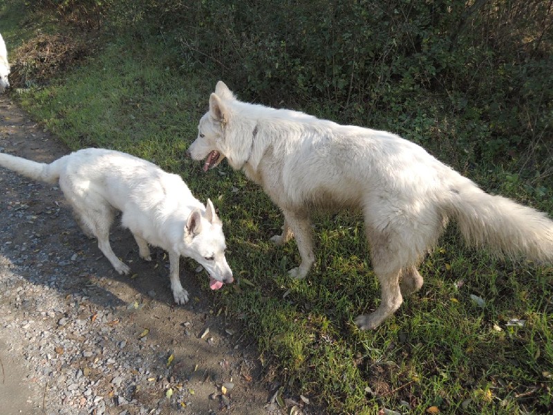 dscn8678.jpg