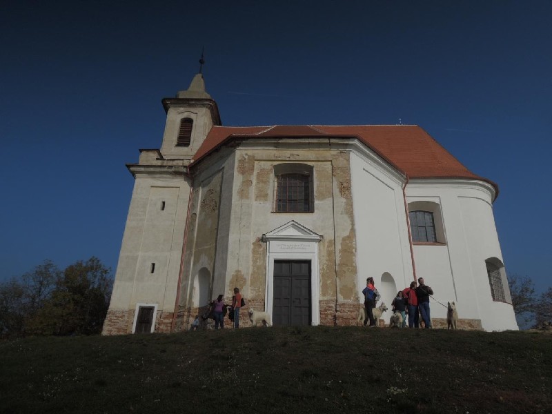 dscn8687.jpg