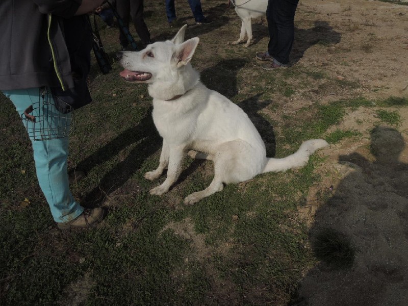 dscn8689.jpg
