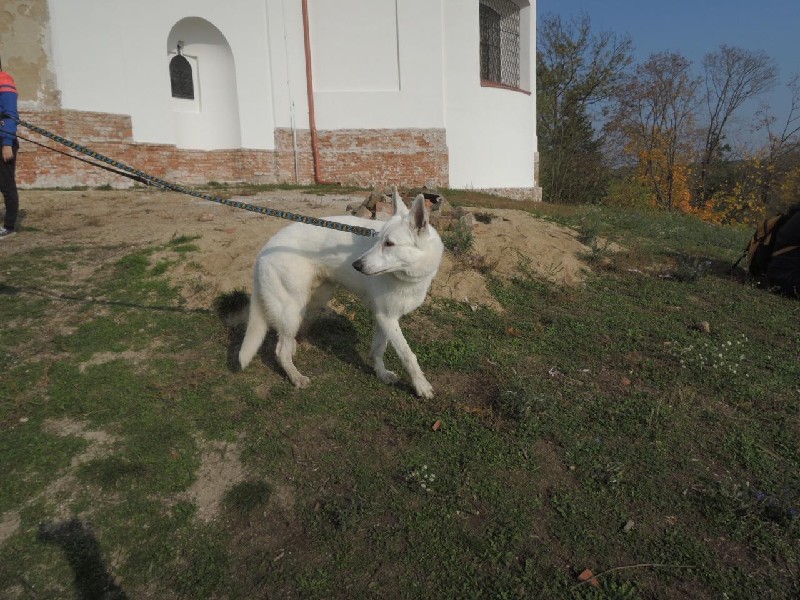 dscn8691.jpg