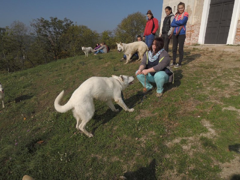 dscn8693.jpg