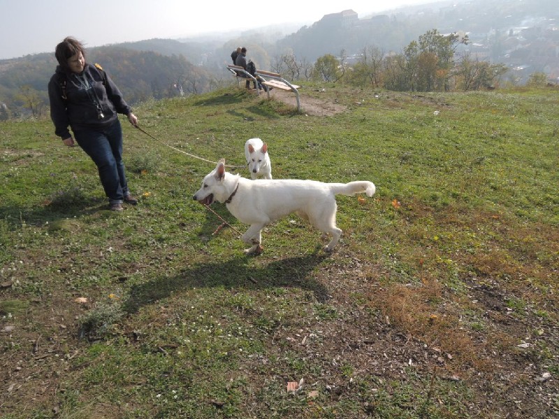 dscn8695.jpg