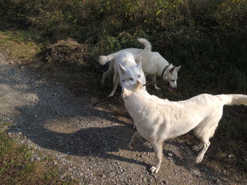 dscn8707.jpg