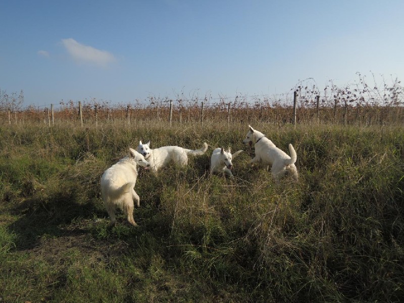 dscn8709.jpg