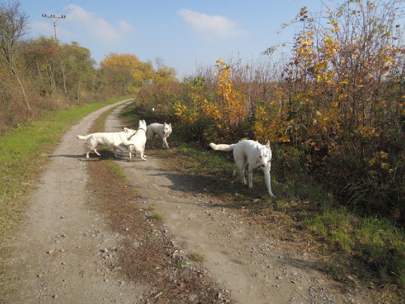 dscn8711.jpg