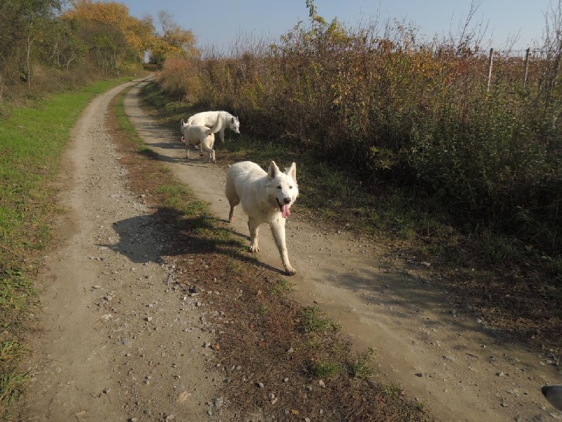 dscn8712.jpg
