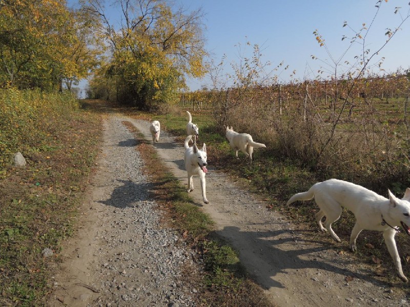 dscn8714.jpg