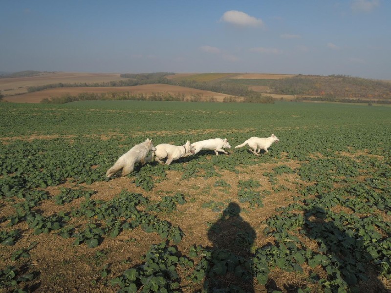 dscn8719.jpg