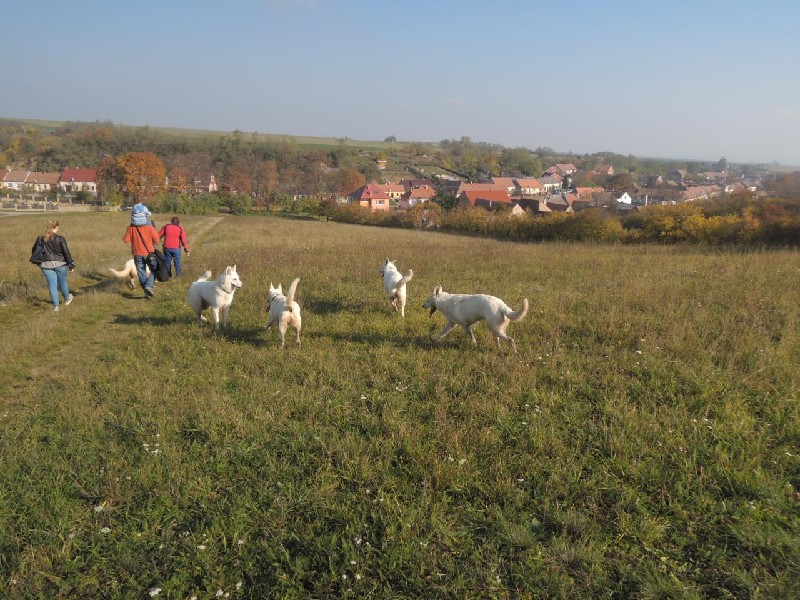 dscn8726.jpg