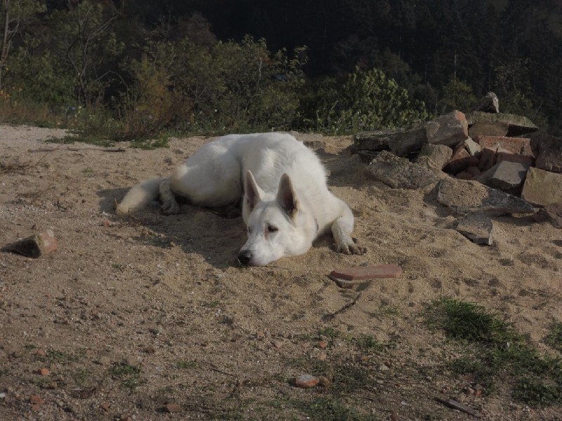 dscn8728.jpg