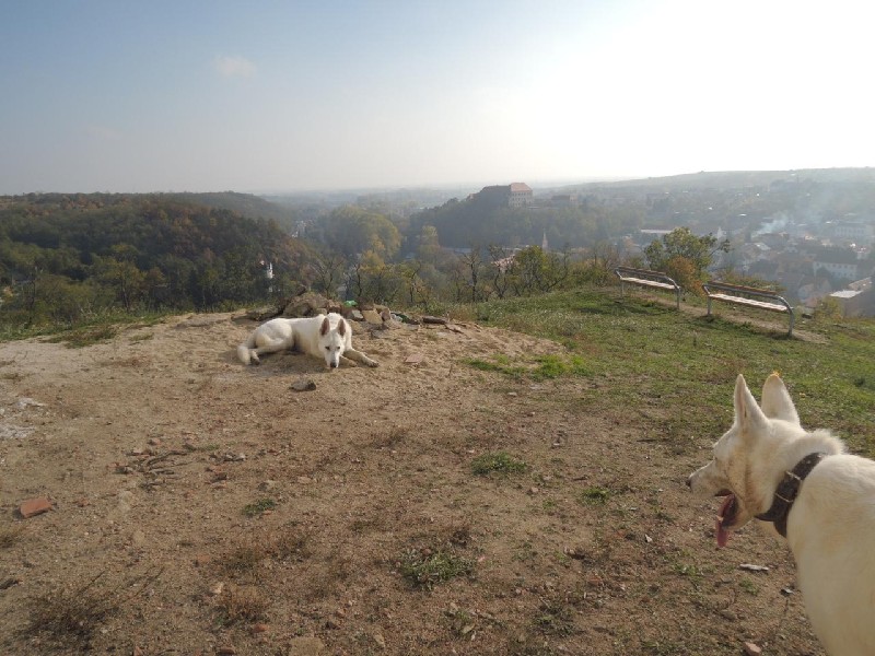 dscn8735.jpg