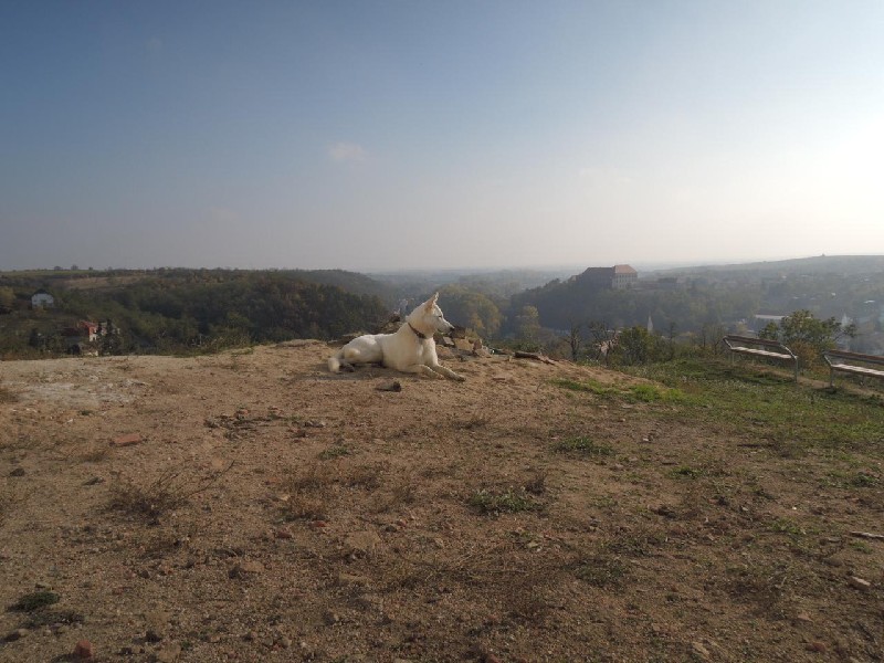 dscn8738.jpg