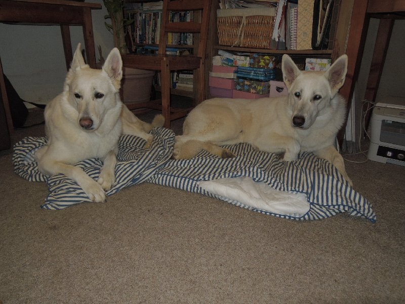 dscn9506.jpg