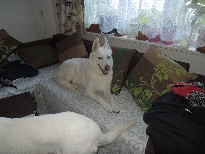 dscn9518.jpg