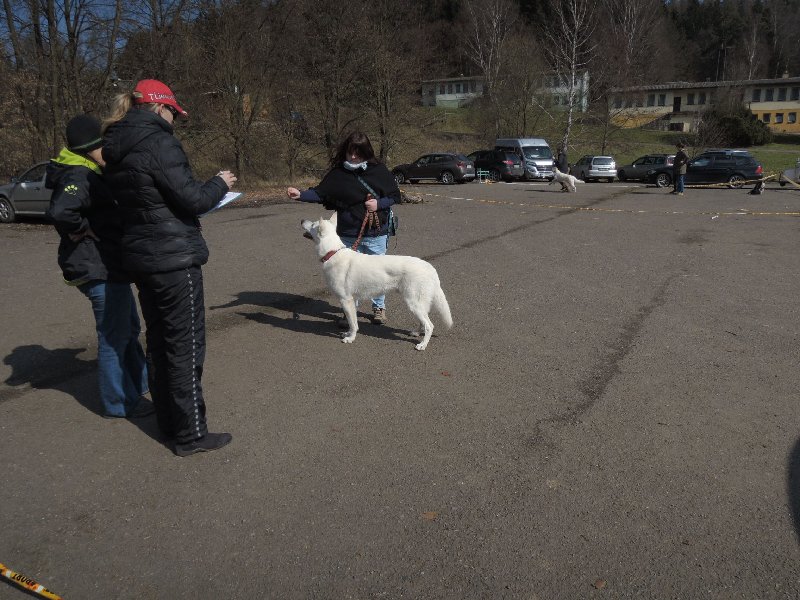 dscn9552.jpg