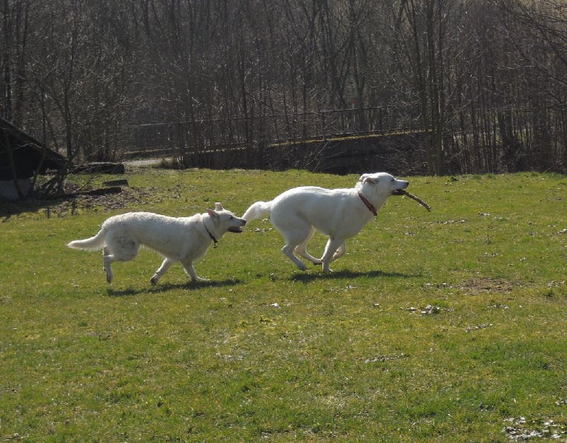 dscn9557.jpg