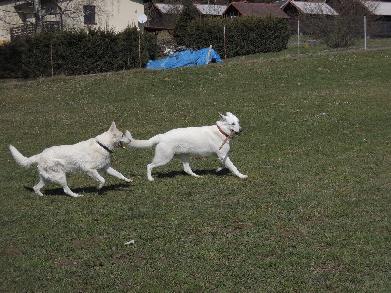 dscn9558.jpg