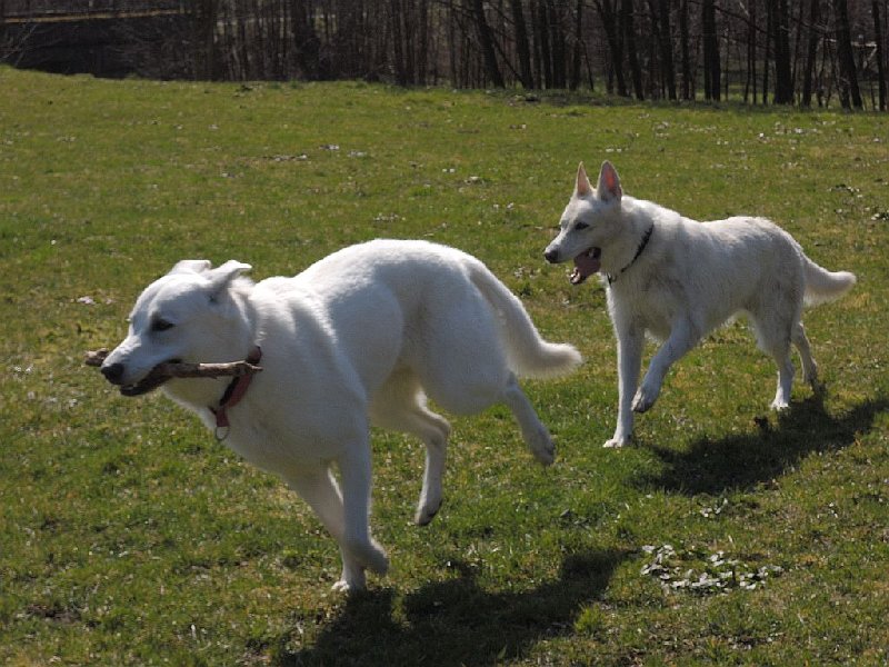 dscn9564.jpg