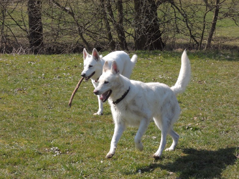 dscn9579.jpg