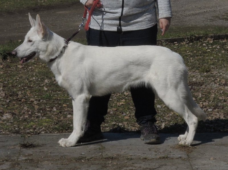 dscn9655.jpg