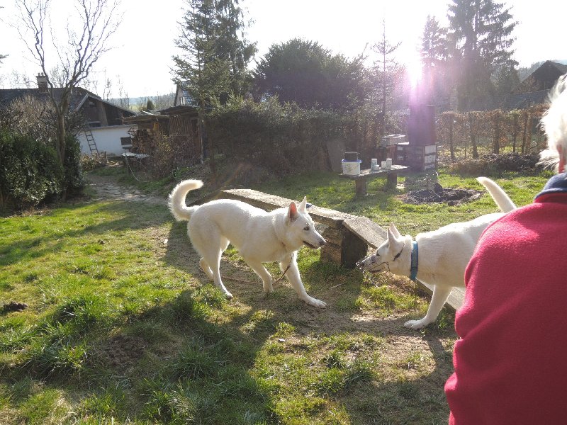 dscn9707.jpg
