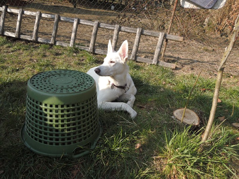 dscn9713.jpg
