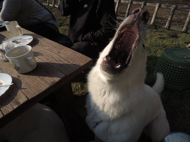 dscn9718.jpg